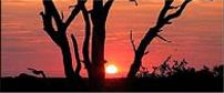Elephant Plains Game Lodge
