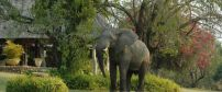 Inyati Private Game Reserve
