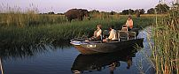 Eagle Island Camp