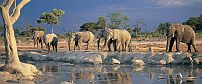Savute Elephant Camp