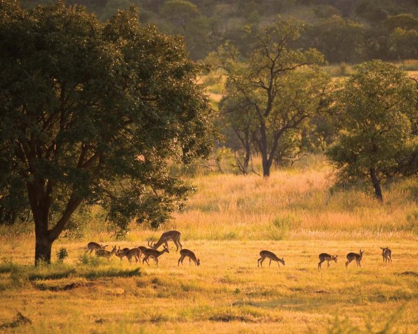 Ekuthuleni Lodge
