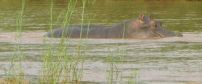 Ezulwini River Lodge