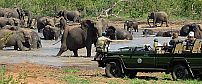 Pondoro Game Lodge