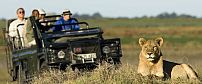 Duba Plains