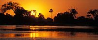Camp Moremi