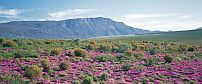 Gondwana Family Lodge
