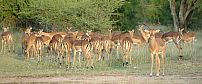 Africa on Foot Walking Safaris