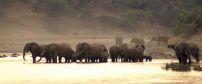 Simbavati River Lodge