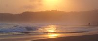 Dolphin Dunes Guest House