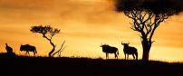 Sarova Mara Game Camp