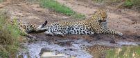 Umkumbe Safari Lodge