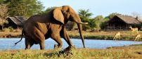 Satao Camp