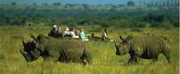 Phinda Mountain Lodge
