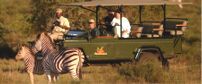 Amakhala Safari Lodge