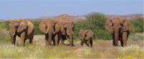 Mowani Mountain Camp