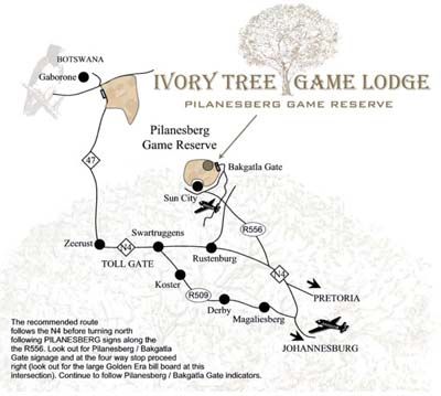 ivory lodge game tree map pilanesberg supplied