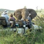 AmaKhosi Safari Lodge2