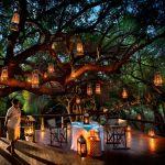 Jaci's Safari Lodge2