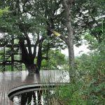 Djuma Vuyatela Lodge2