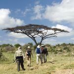 Serondella Game Lodge2