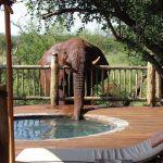 Etali Safari Lodge2
