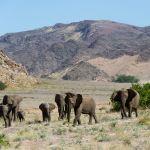 Doro Nawas Camp