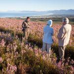Grootbos Private Nature Reserve2