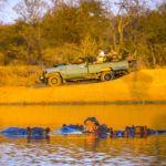 Tshukudu Game Lodge2