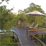 Camp Shonga2