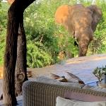 Rhulani Safari Lodge2