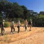 Ngala Walking Safari2