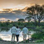 Royal Madikwe Safari Lodge