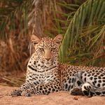 Exeter River Private Game Lodge