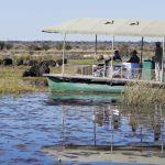Chobe Savanna