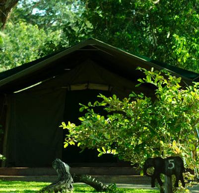 Elephant Valley Lodge