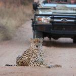 Mohlabetsi Safari Lodge2
