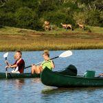 Sibuya Tented Camp2