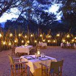Lake Manyara Tree Camp2
