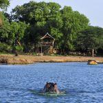 Satao Camp2