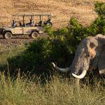 Desert Rhino Camp2