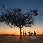 Ongava Lodge2