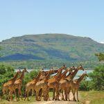 Spionkop Lodge2