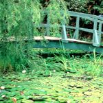 Mount Grace Country House & Spa Picture 5