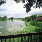 Kapama Lodge Picture 5