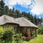Coral Tree Cottages Picture 5