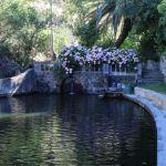 Camps Bay Retreat Picture 5