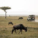 Sediba Private Game Lodge Picture 5