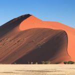 Sossus Dune Lodge Picture 5