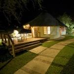 Elephant Plains Game Lodge Picture 5