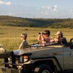Kichaka Luxury Game Lodge Picture 5